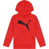 image:imagePUMA Boys Logo Pullover Hoodie Fleece Sweatshirt Large Front PocketHigh Risk Red