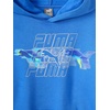 image:imagePUMA Boys Logo Pullover Hoodie Fleece Sweatshirt Large Front PocketHyperlink Blue