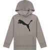 image:imagePUMA Boys Logo Pullover Hoodie Fleece Sweatshirt Large Front PocketLight Heather Grey
