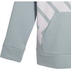 image:imagePUMA Boys Logo Pullover Hoodie Fleece Sweatshirt Large Front PocketTurquoise Surf
