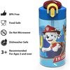 image:imageZak Designs Hot Wheels Sage 16oz LeakProof Straw Kids Water Bottle 2PackPaw Patrol Marshall Bottle 2pk
