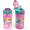 Paw Patrol Skye Bottle 2pk