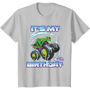 image:imageKids Hot Wheels Monster Trucks  Its My Birthday Epic Crushing TShirtSilver Grey