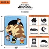 image:imageFranco Kids Bedding Super Soft Micro Raschel Throw 46 in x 60 in Hot WheelsAvatar the Last Airbender
