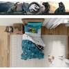 image:imageHot Wheels Girls Kids Bedding Super Soft Comforter and Sheet Set with Sham 5 Piece Twin Size Officially Licensed Product By FrancoJurassic World  Worldwide Dinos