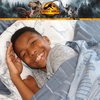 image:imageHot Wheels Kids Bedding Super Soft Premium Organic Cotton Duvet Cover with Sham 3 Piece Full Size Officially Licensed Product By FrancoJurassic World