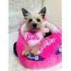 image:imageMegatoys Hot Wheels Plush Car Pet Bed  Themed Blue Car Design for Dogs and Cats with Toy Steering Wheel and TireBarbie