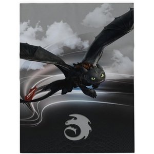 image:imageFranco Kids Bedding Super Soft Micro Raschel Throw 46 in x 60 in Hot WheelsHow to Train Your Dragon