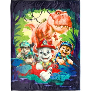 image:imageFranco Kids Bedding Super Soft Micro Raschel Throw 46 in x 60 in Hot WheelsPaw Patrol Dino Movie